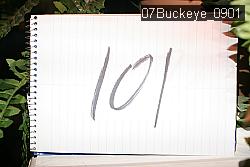 07Buckeye_0901 thumbnail