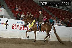 07Buckeye_0921 thumbnail