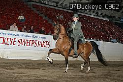 07Buckeye_0962 thumbnail