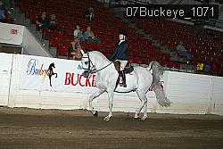 07Buckeye_1071 thumbnail