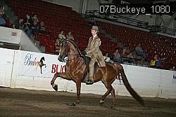 07Buckeye_1080 thumbnail