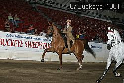 07Buckeye_1081 thumbnail