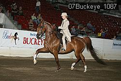 07Buckeye_1087 thumbnail