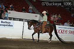 07Buckeye_1096 thumbnail