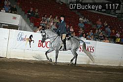 07Buckeye_1117 thumbnail