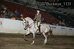 07Buckeye_1131 thumbnail