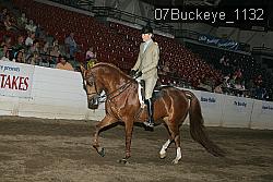 07Buckeye_1132 thumbnail