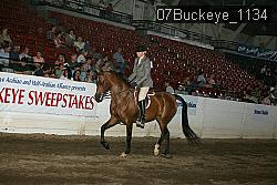 07Buckeye_1134 thumbnail