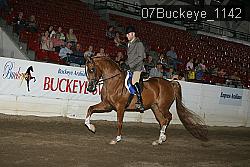 07Buckeye_1142 thumbnail