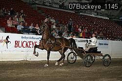 07Buckeye_1145 thumbnail