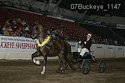 07Buckeye_1147 thumbnail