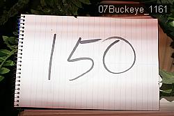 07Buckeye_1161 thumbnail