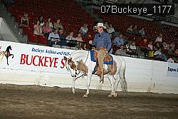 07Buckeye_1177 thumbnail