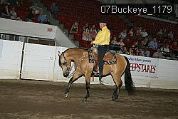 07Buckeye_1179 thumbnail