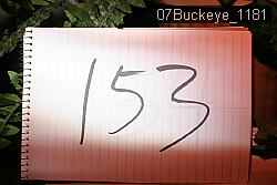 07Buckeye_1181 thumbnail