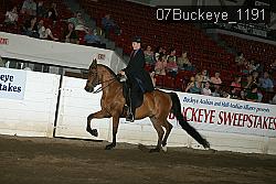 07Buckeye_1191 thumbnail