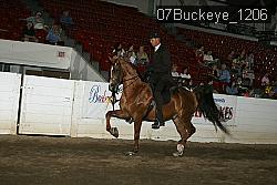 07Buckeye_1206 thumbnail