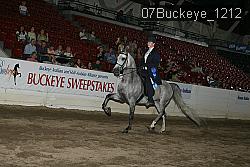 07Buckeye_1212 thumbnail