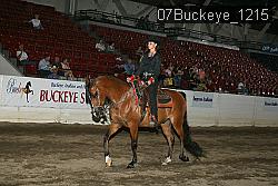 07Buckeye_1215 thumbnail