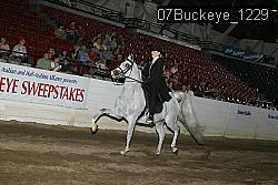 07Buckeye_1229 thumbnail