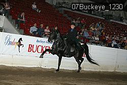 07Buckeye_1230 thumbnail