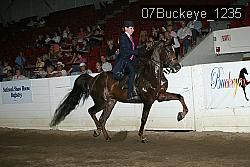 07Buckeye_1235 thumbnail