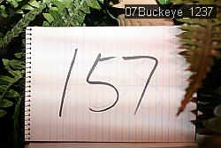 07Buckeye_1237 thumbnail
