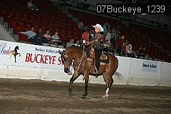 07Buckeye_1239 thumbnail