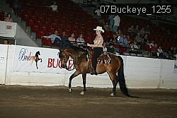 07Buckeye_1255 thumbnail