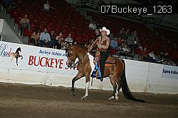 07Buckeye_1263 thumbnail