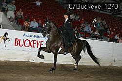 07Buckeye_1270 thumbnail