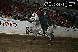 07Buckeye_1277 thumbnail