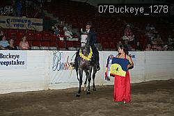 07Buckeye_1278 thumbnail