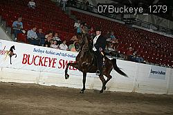 07Buckeye_1279 thumbnail