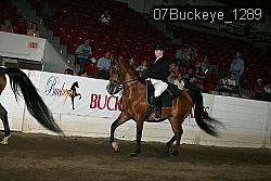 07Buckeye_1289 thumbnail