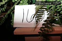 07Buckeye_1297 thumbnail