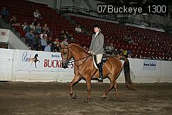 07Buckeye_1300 thumbnail