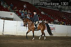 07Buckeye_1301 thumbnail