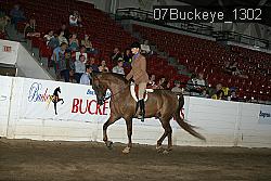 07Buckeye_1302 thumbnail