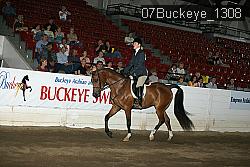 07Buckeye_1308 thumbnail