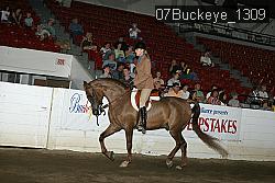 07Buckeye_1309 thumbnail