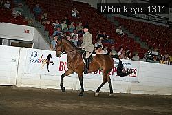 07Buckeye_1311 thumbnail