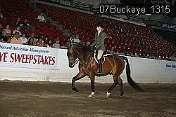 07Buckeye_1315 thumbnail