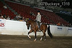 07Buckeye_1318 thumbnail