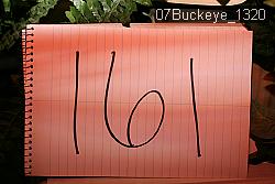 07Buckeye_1320 thumbnail