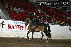 07Buckeye_1325 thumbnail