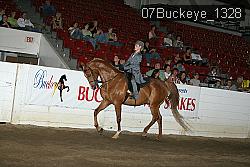 07Buckeye_1328 thumbnail