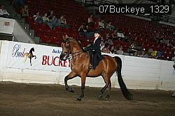 07Buckeye_1329 thumbnail