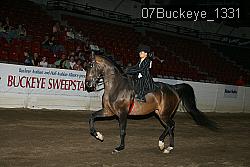 07Buckeye_1331 thumbnail