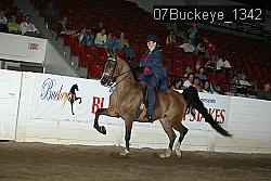 07Buckeye_1342 thumbnail